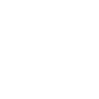lgpdP.png